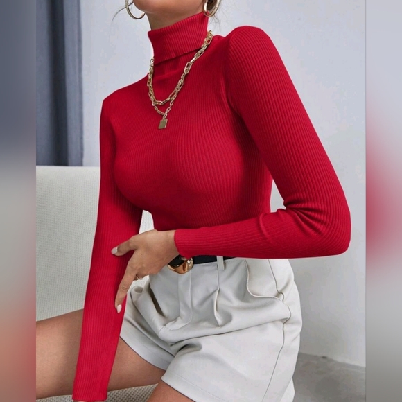NEW Chic Ribbed Knit Turtleneck Sweater Top Bodycon Red - Picture 1 of 8